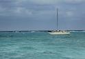 110 Zwemmen met pijlstaartroggen, Grand Cayman